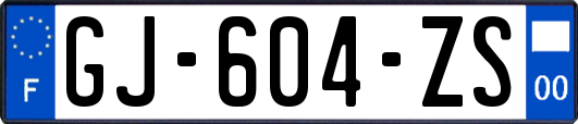 GJ-604-ZS