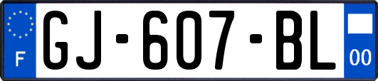 GJ-607-BL