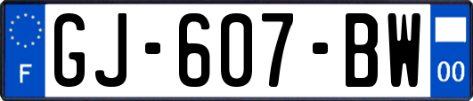 GJ-607-BW