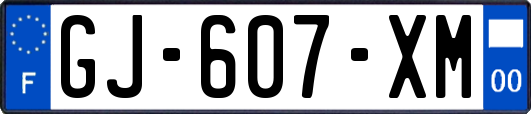 GJ-607-XM