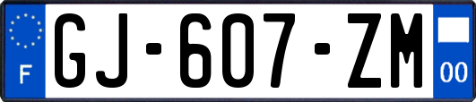 GJ-607-ZM