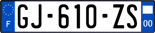 GJ-610-ZS
