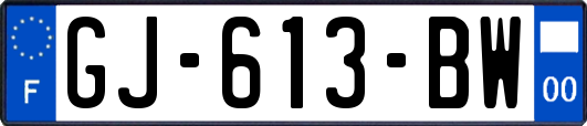 GJ-613-BW