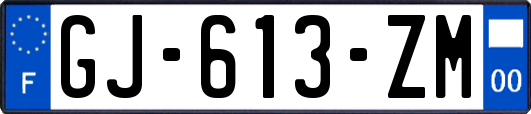 GJ-613-ZM