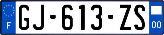 GJ-613-ZS
