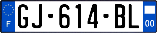 GJ-614-BL