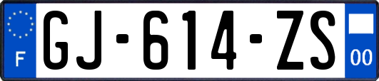 GJ-614-ZS