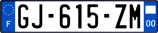 GJ-615-ZM