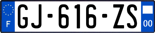 GJ-616-ZS