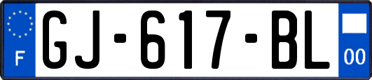 GJ-617-BL