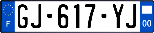 GJ-617-YJ
