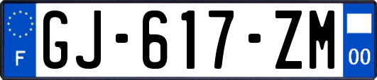 GJ-617-ZM