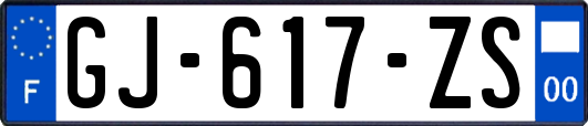 GJ-617-ZS
