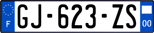 GJ-623-ZS