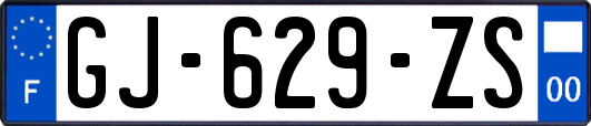 GJ-629-ZS