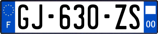 GJ-630-ZS
