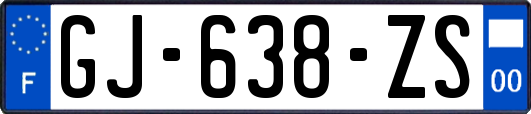 GJ-638-ZS