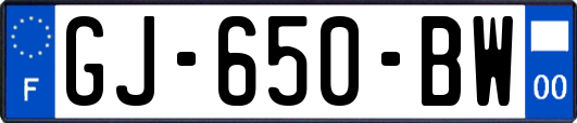 GJ-650-BW