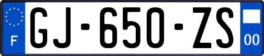 GJ-650-ZS