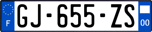 GJ-655-ZS