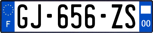 GJ-656-ZS