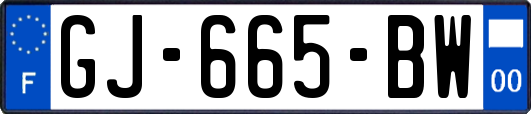 GJ-665-BW