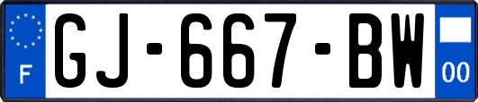 GJ-667-BW