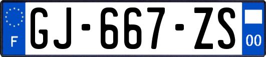 GJ-667-ZS