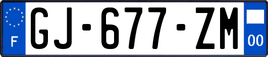 GJ-677-ZM