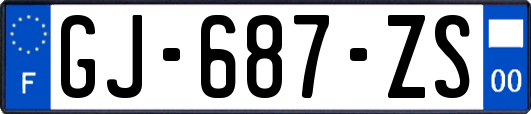 GJ-687-ZS