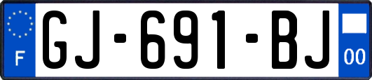 GJ-691-BJ