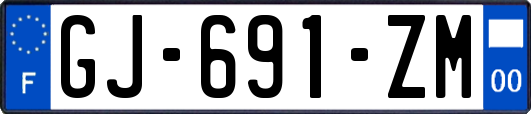 GJ-691-ZM