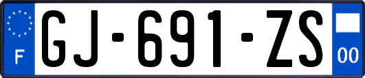 GJ-691-ZS