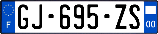 GJ-695-ZS