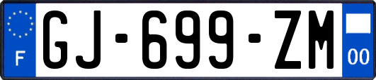 GJ-699-ZM