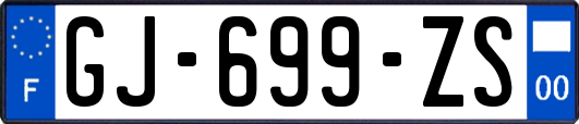 GJ-699-ZS
