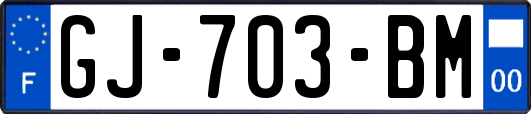 GJ-703-BM