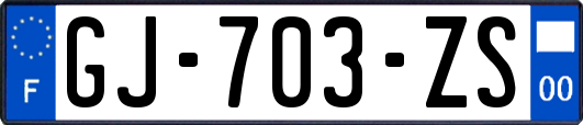 GJ-703-ZS