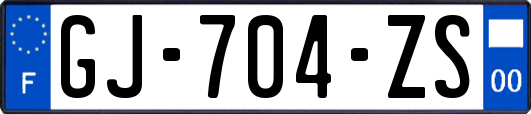 GJ-704-ZS