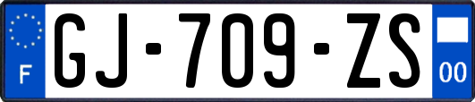 GJ-709-ZS