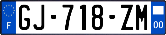 GJ-718-ZM