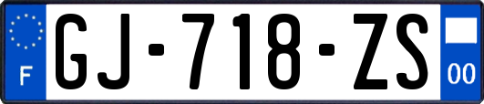 GJ-718-ZS