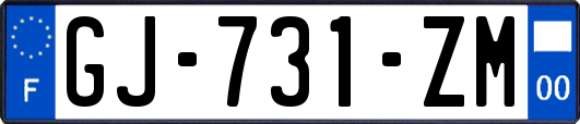 GJ-731-ZM