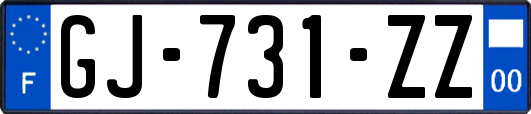 GJ-731-ZZ