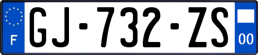 GJ-732-ZS