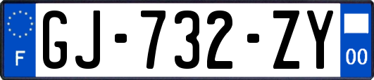 GJ-732-ZY