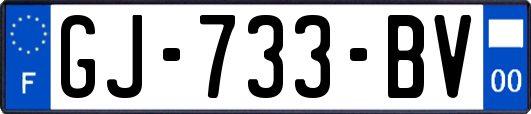 GJ-733-BV