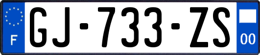 GJ-733-ZS