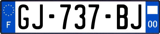 GJ-737-BJ