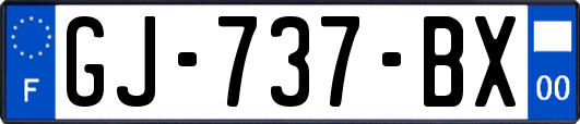 GJ-737-BX